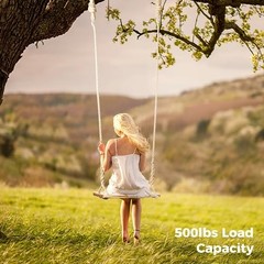 Wooden Tree Swing, 500lbs Load Capacity Heavy-Duty Wooden Swing Seat for