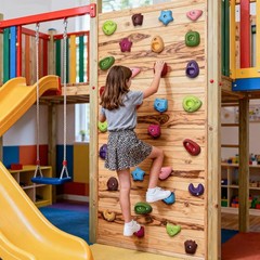 36PCS Rock Climbing Holds for Kids, Rock Wall Climbing Holds with Hardware – …