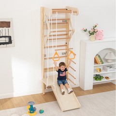 6-in-1 Swedish Ladder Wall Gym Indoor Wooden Wall Mounted Play Set for Kids