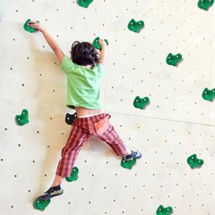 10PCS Green Rock Climbing Holds, Rock Climbing Wall for Kids, Extra Large Siz…