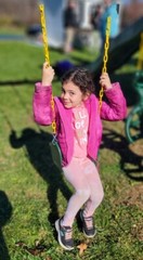 Eastern Jungle Gym 2 Outdoor Swing Seats for Kids and Adults