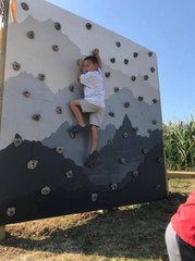 50 LARGE KIDS ROCK CLIMBING WALL HOLDS. BOLT ONS WITHOUT Hardware