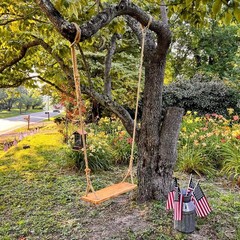 Hanging Wooden Swing 24″x 8″x 1.2″ Tree Swing Adults & Kids W/ 500lbs Load