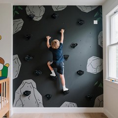 18PCS Climbing Holds for Kids,Large Climbing Holds for Play Set, Rock Wall Cl…