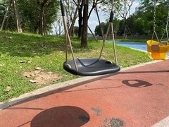 Heavy Duty Swing Seat for Adults Kids Tree Swing with Weather Proof Ropes Swing