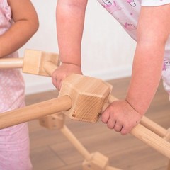 Wooden Climbing Dome Montessori Kids Indoor Jungle Gym Spider Climber L 1-6 Ages