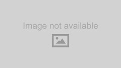 0106 Ford Hd High Back Bucket Seats W/Armrest Tan