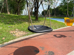 SELEWARE Heavy Duty Swing Seat for Adults Kids Tree Swing with Weather Proof Rop
