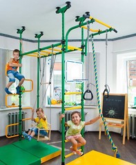 Children’s Indoor Home Gym Swedish Wall Playground Set 