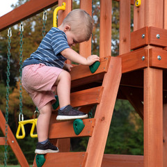 Cedar Wooden Swing Set Tucson Backyard Discovery Slide Rock Wall Kids Playground