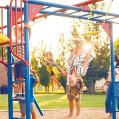 Lifetime 91022 Monkey Bar Adventure Swing Set Red Yellow Blue Outdoor Playground