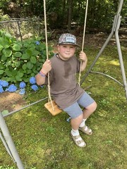 Pine Wood Tree Swing-Wood Tree Swing with 10 Feet Of rope Each Side