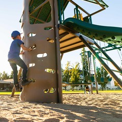 New Lifetime Big Stuff Deluxe Swing Set + 2 Slides, Monkey Bars Outdoor Kids Fun