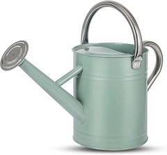 Stdemarzo 1 Gallon Galvanized Steel Watering Can with Removable Spout