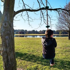 Durable Climbing Rope Swing with 220lb Capacity & Kids Disc Seat for Outdoor Fun