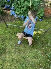 Child Live Edge Cedar Wood Tree Swing with 10 feet single Polypropylene rope