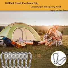 12PCS 2 Inch Small Carabiner Clip, Spring Snap Hook, Heavy Duty Galvanized St…