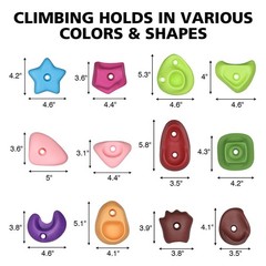 36PCS Rock Climbing Holds for Kids, Rock Wall Climbing Holds with Hardware – …