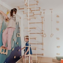 Kids Climbing Ropes Set Ceiling Mounted Swing Rings Ladder Indoor Play Gym