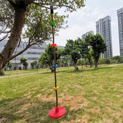Xinlinke Tree Climbing Rope and Kids Disc Swing Seat Yellow,orange,blue,green