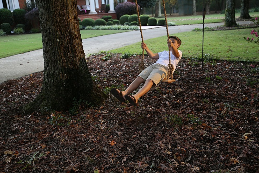 Adventure Parks Classic Maple Swing Backyard Tree Swing Day Care Play 39-CLASW
