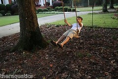 Adventure Parks Classic Maple Swing Backyard Tree Swing Day Care Play 39-CLASW