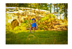 Adventure Parks Classic Maple Swing Backyard Tree Swing Day Care Play Retro