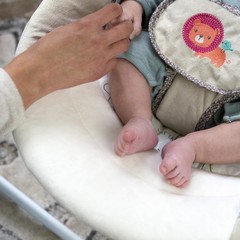 Soothe n Delight Compact Portable 6-Speed Plush Baby Swing Music 0-9M