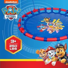 Saucer Tree Swing for Kids – Swing Sets for Backyard, Paw Patrol – 40 Inch