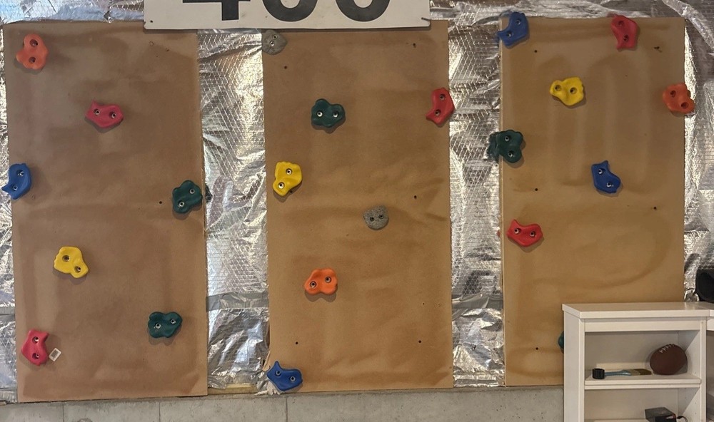 Rock Wall Hand Climbing Grips Set Of 23, Screws/Nuts Included. Wood Not Included