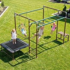Swing Set Monkey Bars with Trampoline Belt Swing Heavy Duty for Backyard Playset