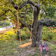 Hanging Wooden Swing 24″x 8″x 1.2″ Tree Swing Adults & Kids W/ 500lbs Load