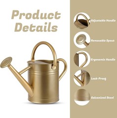 Stdemarzo 1 Gallon Galvanized Steel Watering Can with Removable Spout