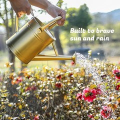 Stdemarzo 1 Gallon Galvanized Steel Watering Can with Removable Spout