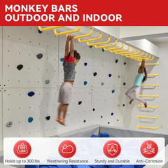 17.3 Inch Safety Playground Handles Metal Indoor Outdoor Climbing Monkey Bars Sw