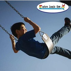 Eastern Jungle Gym 2 Outdoor Swing Seats for Kids and Adults