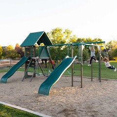 New Lifetime Big Stuff Deluxe Swing Set + 2 Slides, Monkey Bars Outdoor Kids Fun