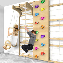 Extra-Large 10-in-1 Swedish Ladder Gym Set for Home Playground Fun