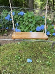 Oak Wood Tree Swing with 10 feet of rope each side. All Age Oak Wood Tree Swing