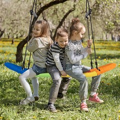 Saucer Tree Swing Surf Kids Outdoor Adjustable Oval Platform w/ Handle Colorful