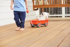 Eco-Friendly Orange Wagon for Kids – Safe Play & Motor Skill Development
