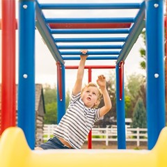 Lifetime 91022 Monkey Bar Adventure Swing Set Red Yellow Blue Outdoor Playground
