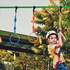 Ninja Rings Monkey Bars Swing Trapeze Bar Playground Swingset Rings Ninja Cou…