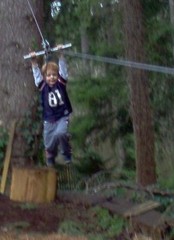 Zip Line 75′ Kit, Trolley, Cable Ride, High Quality Zipline, Made in USA!