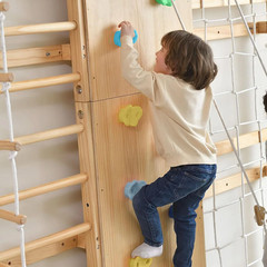 Walnut 9-in-1 Swedish Ladder Wall Gym Set for Home Fitness and Fun