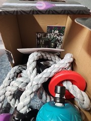 Slackers Ninja Rope B4 Aventure Ninja Slackline for Kids