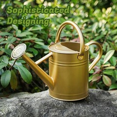 Stdemarzo 1 Gallon Galvanized Steel Watering Can with Removable Spout
