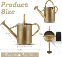 Stdemarzo 1 Gallon Galvanized Steel Watering Can with Removable Spout