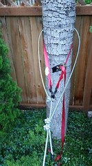 Zip Line 100′ Kit, Trolley, Cable Ride, High Quality Zipline, Made in USA!