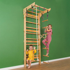 Swedish Ladder Wall Set – Kids Gymnastics Stall Bars for Home Fitness